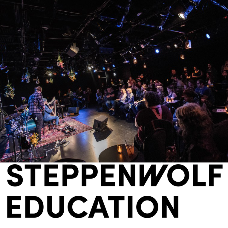 Steppenwolf Space Image plus logo